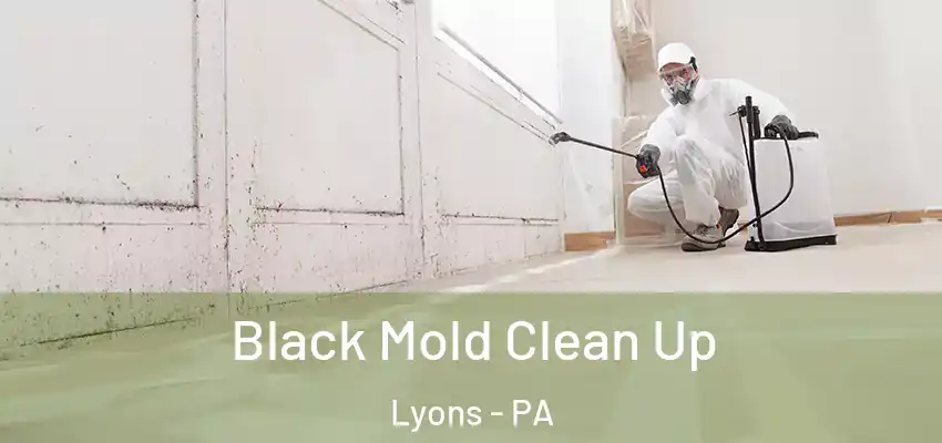 Black Mold Clean Up Lyons - PA