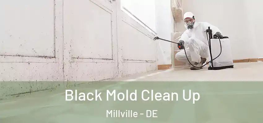 Black Mold Clean Up Millville - DE