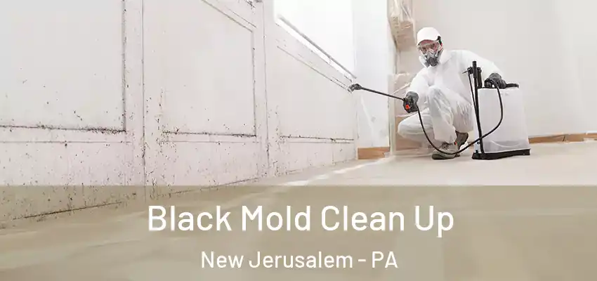 Black Mold Clean Up New Jerusalem - PA
