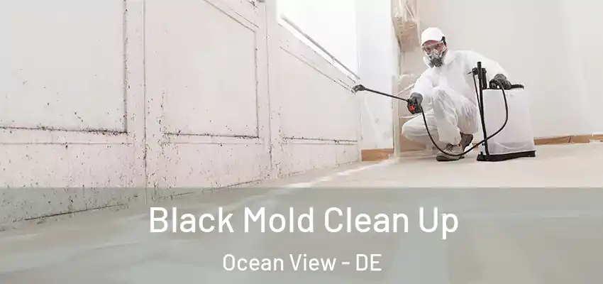 Black Mold Clean Up Ocean View - DE
