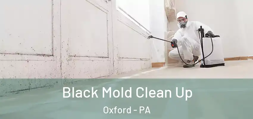 Black Mold Clean Up Oxford - PA