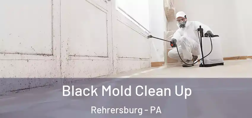  Black Mold Clean Up Rehrersburg - PA