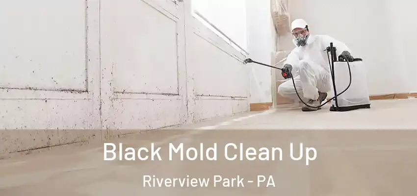 Black Mold Clean Up Riverview Park - PA
