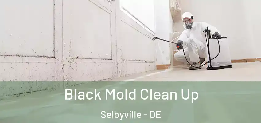 Black Mold Clean Up Selbyville - DE