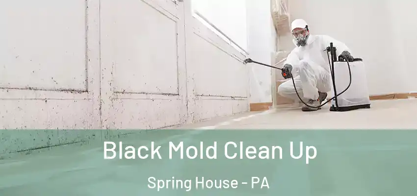 Black Mold Clean Up Spring House - PA