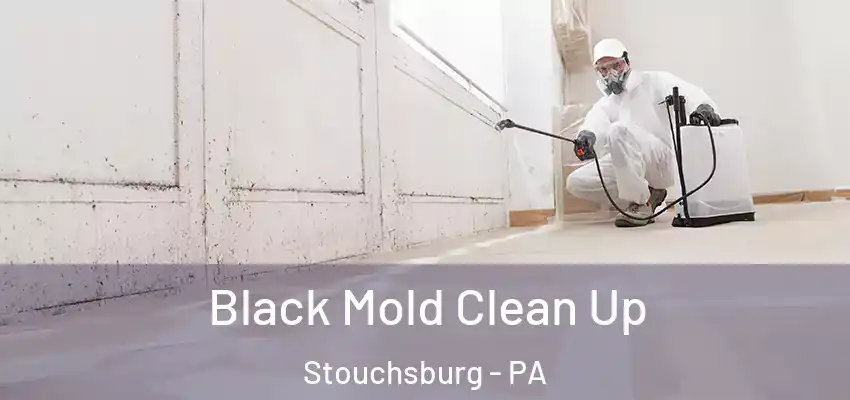 Black Mold Clean Up Stouchsburg - PA
