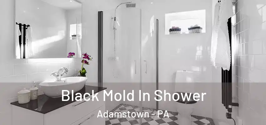  Black Mold In Shower Adamstown - PA