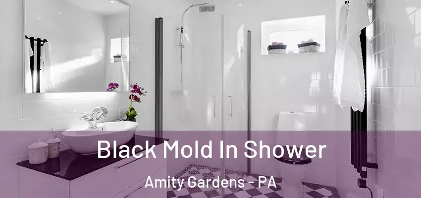  Black Mold In Shower Amity Gardens - PA