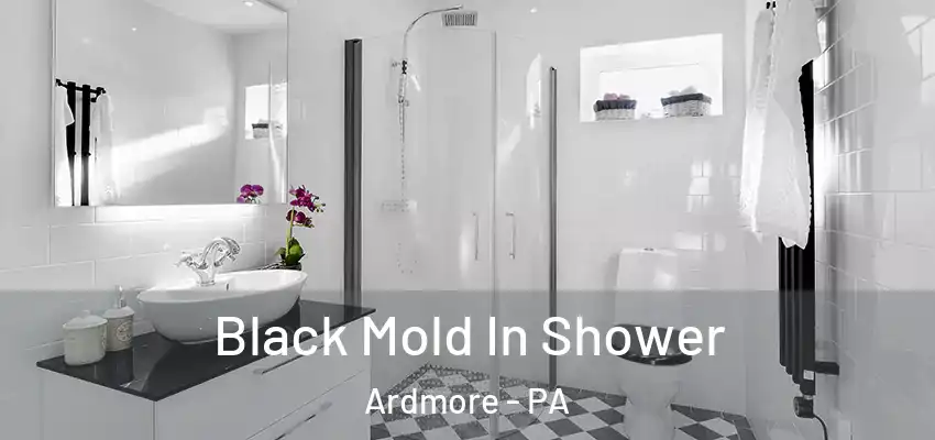 Black Mold In Shower Ardmore - PA