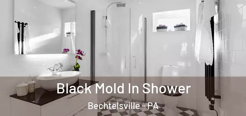  Black Mold In Shower Bechtelsville - PA