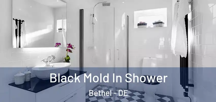 Black Mold In Shower Bethel - DE