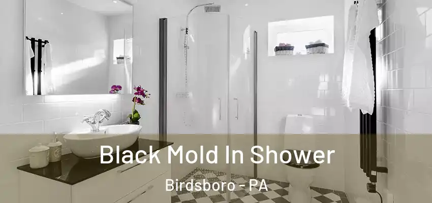  Black Mold In Shower Birdsboro - PA