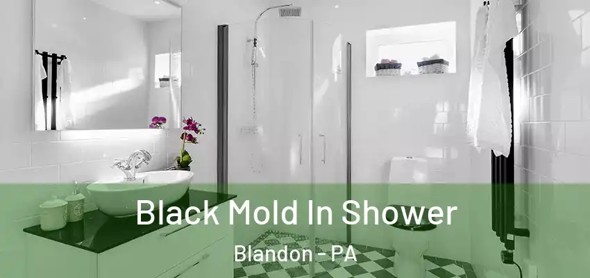  Black Mold In Shower Blandon - PA