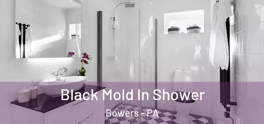 Black Mold In Shower Bowers - PA