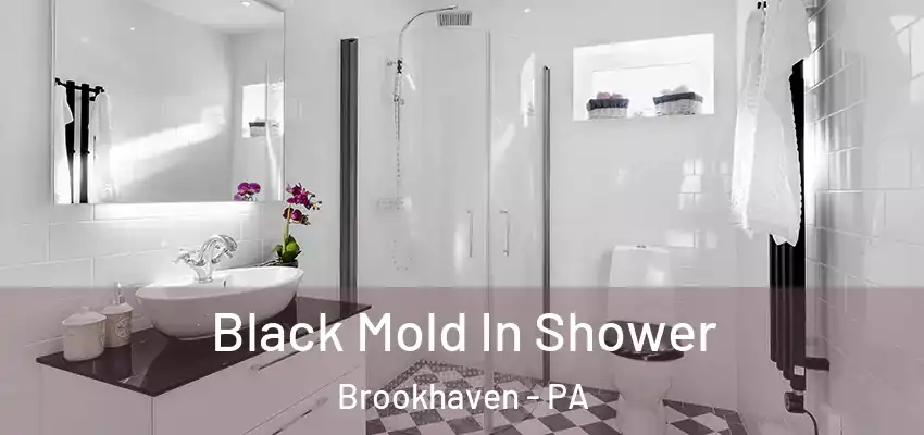 Black Mold In Shower Brookhaven - PA