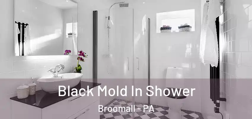 Black Mold In Shower Broomall - PA