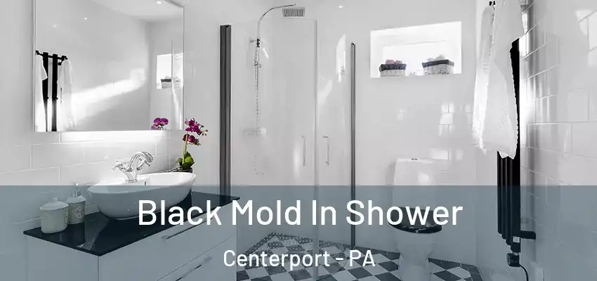  Black Mold In Shower Centerport - PA