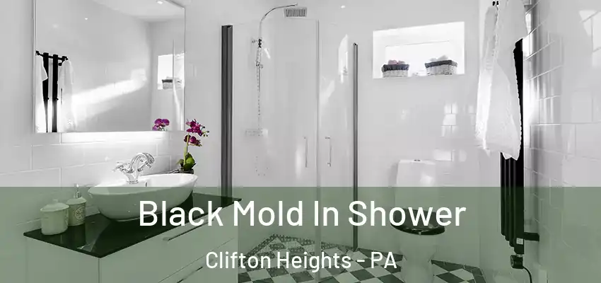  Black Mold In Shower Clifton Heights - PA