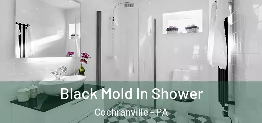  Black Mold In Shower Cochranville - PA