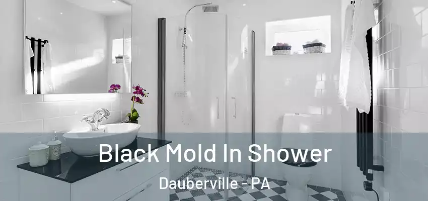  Black Mold In Shower Dauberville - PA