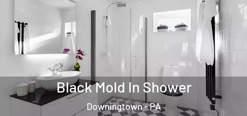 Black Mold In Shower Downingtown - PA