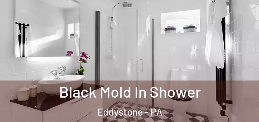 Black Mold In Shower Eddystone - PA