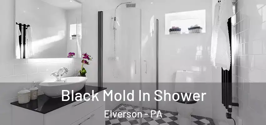 Black Mold In Shower Elverson - PA
