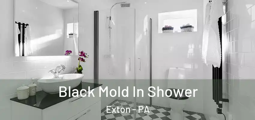 Black Mold In Shower Exton - PA
