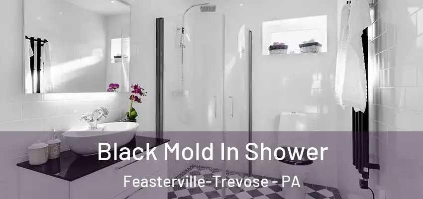 Black Mold In Shower Feasterville-Trevose - PA