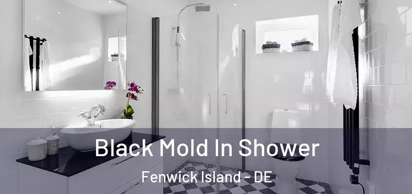 Black Mold In Shower Fenwick Island - DE