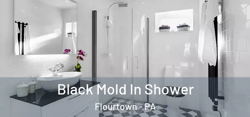  Black Mold In Shower Flourtown - PA