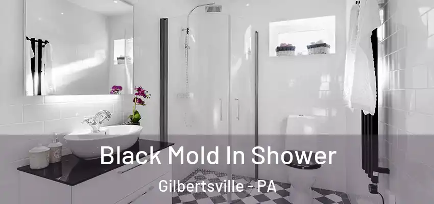 Black Mold In Shower Gilbertsville - PA