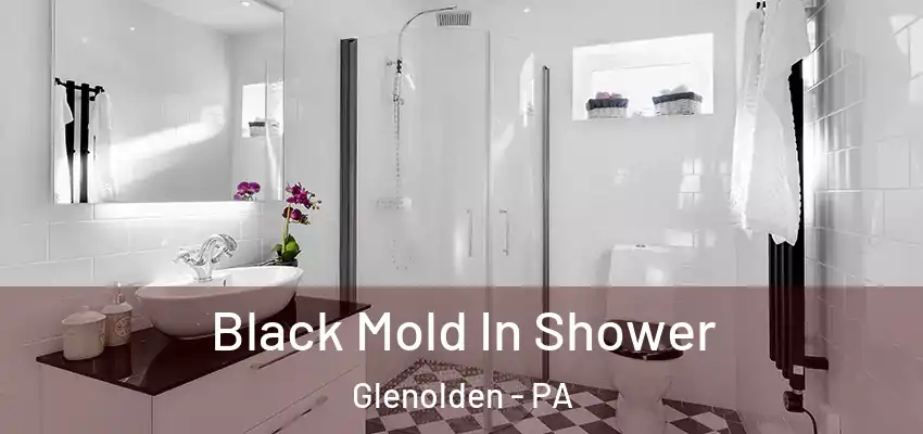 Black Mold In Shower Glenolden - PA