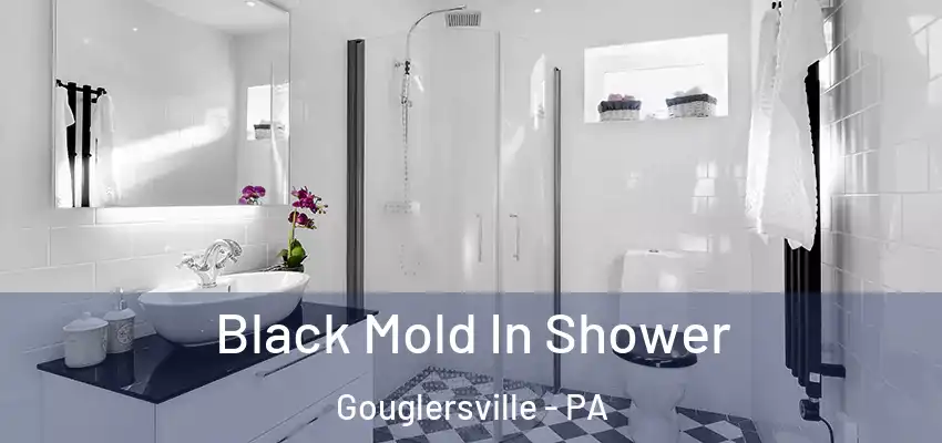  Black Mold In Shower Gouglersville - PA