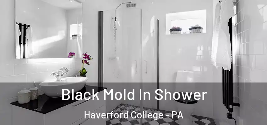 Black Mold In Shower Haverford College - PA
