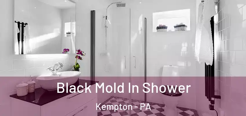 Black Mold In Shower Kempton - PA