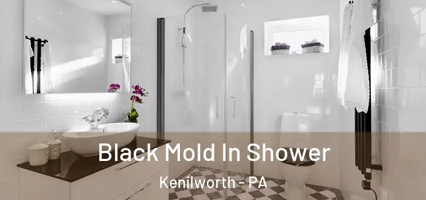 Black Mold In Shower Kenilworth - PA