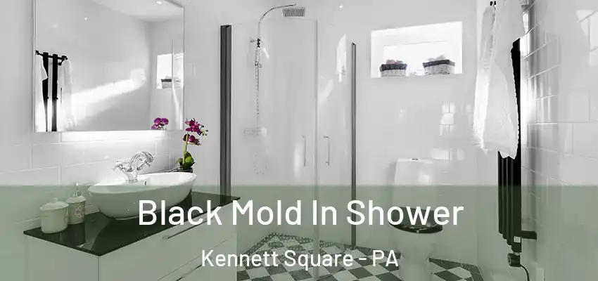 Black Mold In Shower Kennett Square - PA