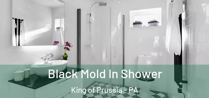 Black Mold In Shower King of Prussia - PA