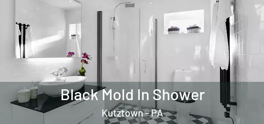  Black Mold In Shower Kutztown - PA