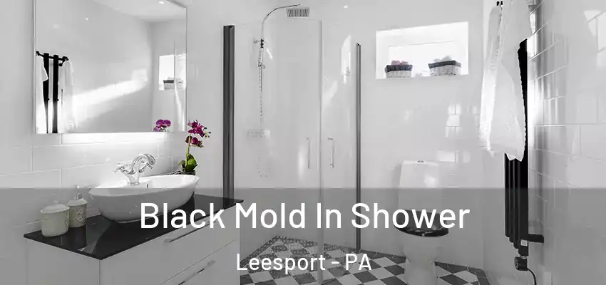  Black Mold In Shower Leesport - PA