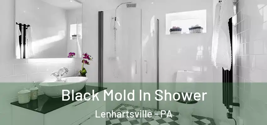  Black Mold In Shower Lenhartsville - PA