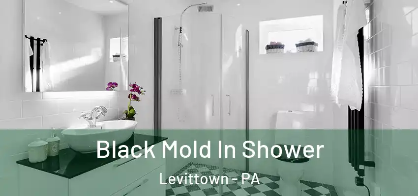  Black Mold In Shower Levittown - PA