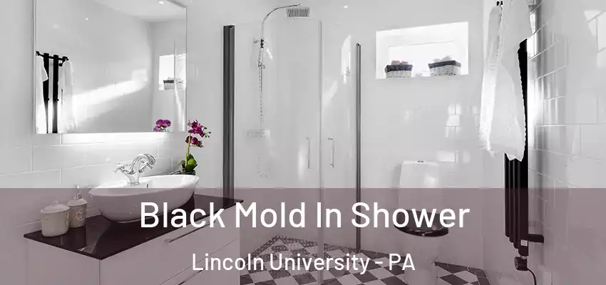 Black Mold In Shower Lincoln University - PA