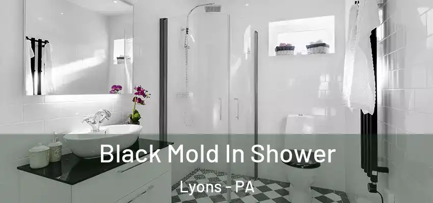 Black Mold In Shower Lyons - PA