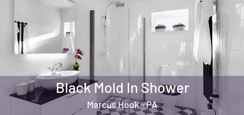  Black Mold In Shower Marcus Hook - PA