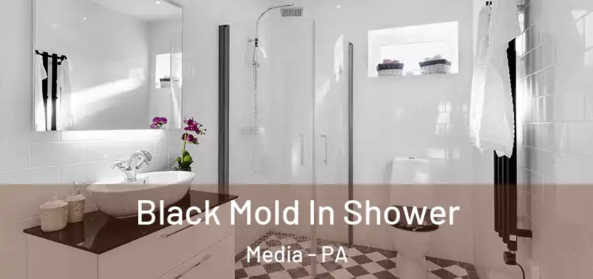  Black Mold In Shower Media - PA