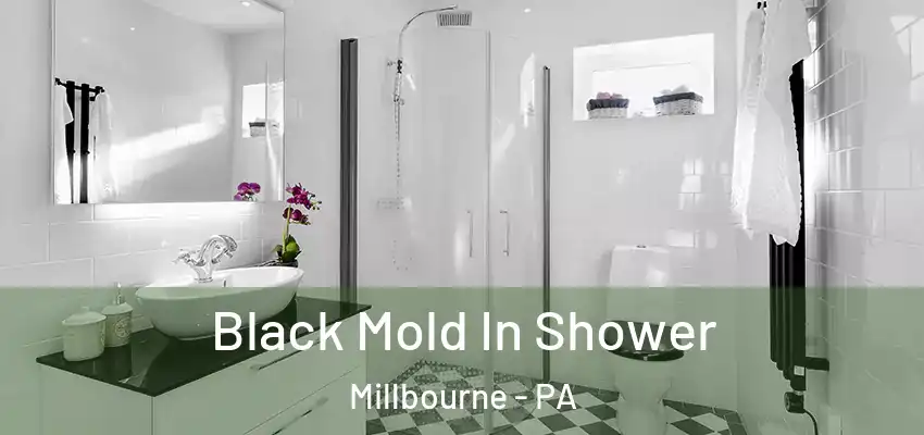 Black Mold In Shower Millbourne - PA