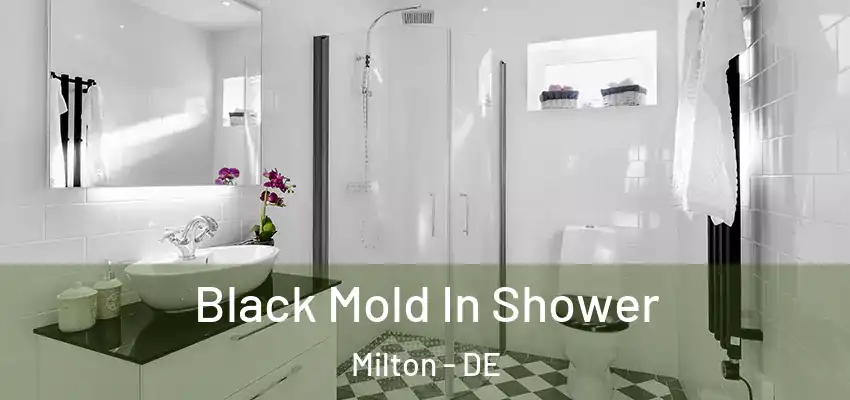 Black Mold In Shower Milton - DE