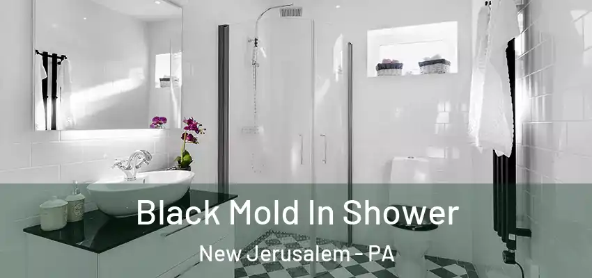  Black Mold In Shower New Jerusalem - PA